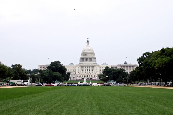 architecture,structure,bâtiment,palais,monument,pelouse