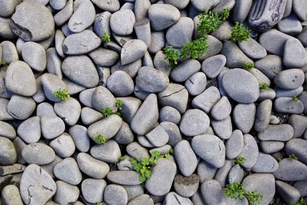 rock,piedra,verde,Guijarro,guijarro,pared