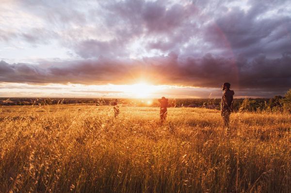 Landschaft, Natur, Gras, Horizont, draussen, Licht