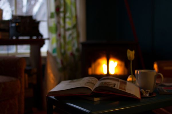 libro,leyendo,sala,cabaña,llama,chimenea