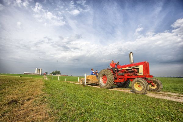 tájkép, természet, fű, ég, mező, traktor