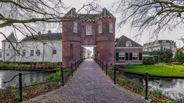 maison,fleur,ville,bâtiment,château,Manoir