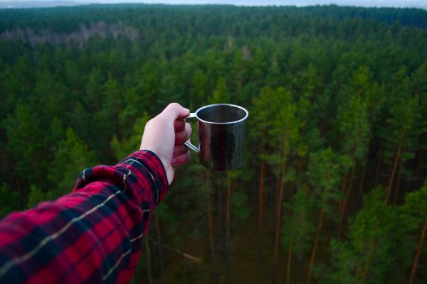 człowiek,drzewo,Natura,las,Zielony,gleba