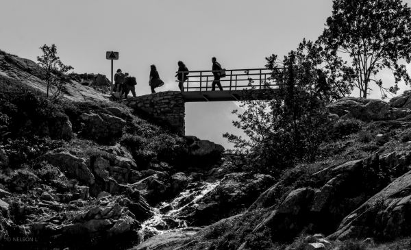 strand, tájkép, tengerpart, víz, természet, szikla