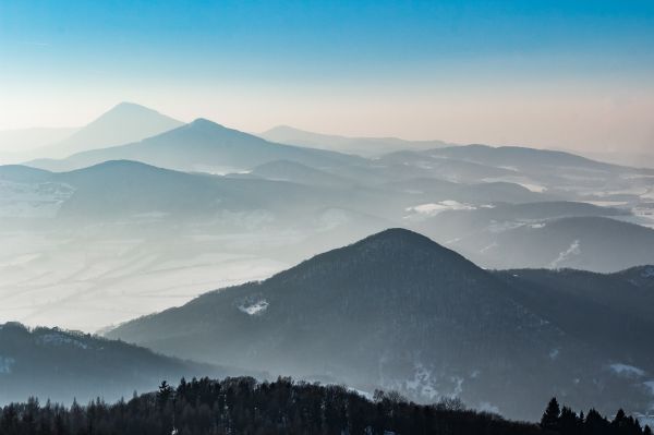 paesaggio, albero, natura, roccia, foresta, all'aperto