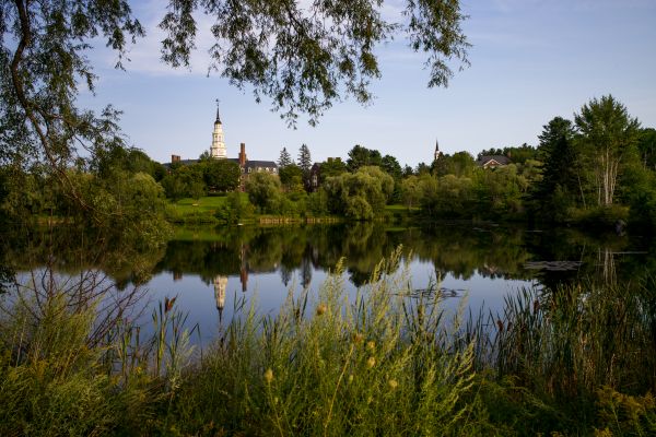 Baum,Landschaft,Wasser,Natur,Gras,Sumpf