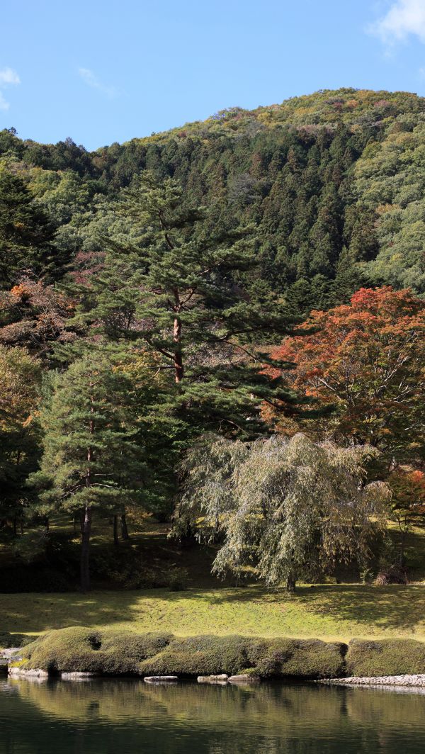 paisaje, árbol, agua, naturaleza, bosque, rock