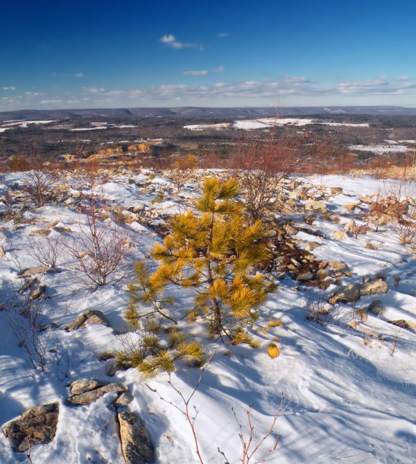 paysage, la nature, région sauvage, Montagne, neige, arbre