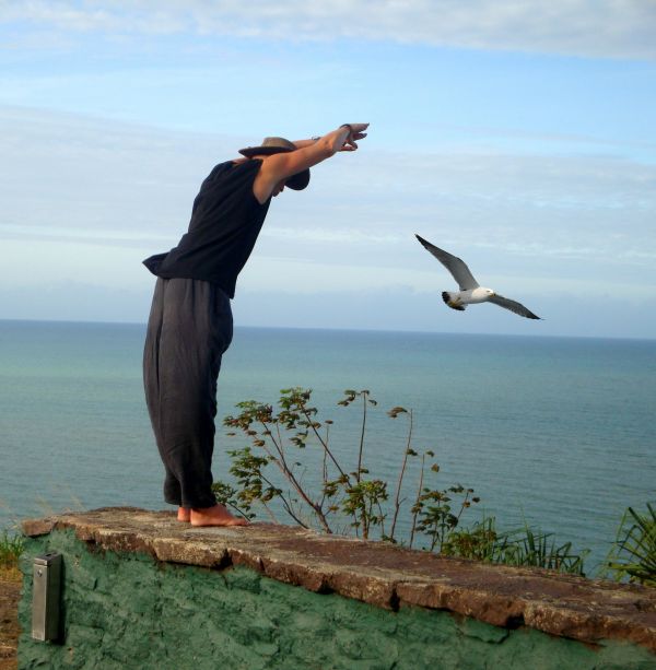 homme,plage,mer,côte,océan,oiseau