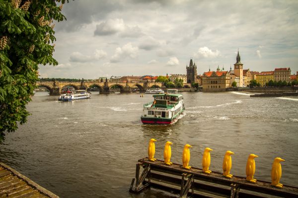 воды,архитектура,мост,море,берег,лодка