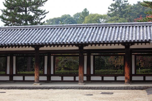 建筑,屋顶,冠层,高,正面,寺庙