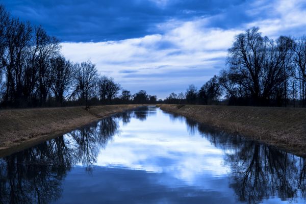 пейзаж, дерево, воды, природа, лес, трава