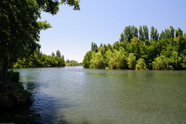 пейзаж,дерево,воды,природа,лес,озеро