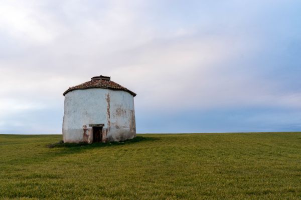 paesaggio, mare, costa, erba, cielo, campo