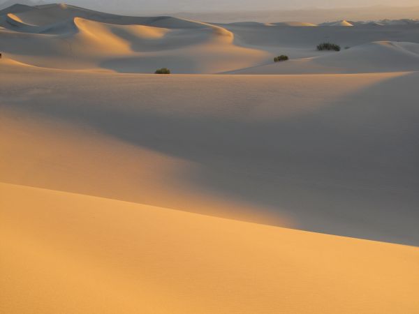 landschap, zand, horizon, woestijn, zonsopkomst, ochtend-