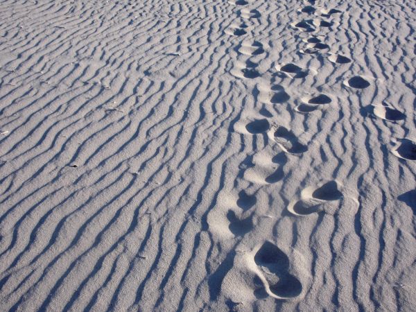 de praia,natureza,areia,neve,Pista,chão