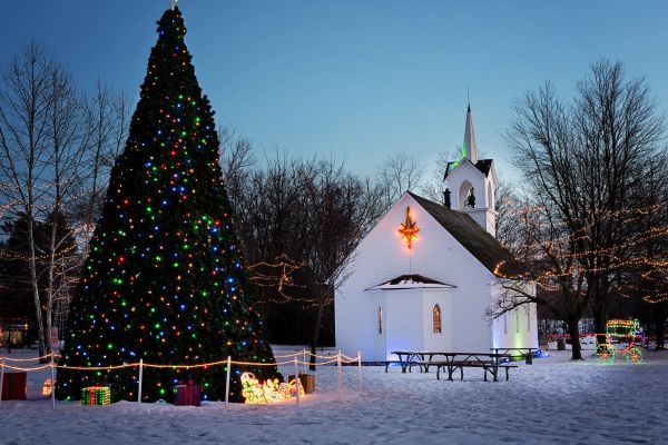 panorama,árvore,inverno,noite,feriado,Igreja