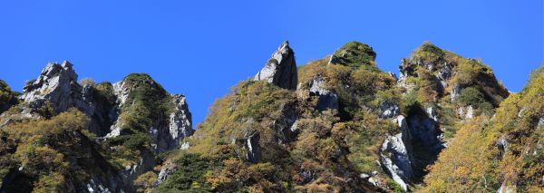 pohon,batu,gurun,berjalan,gunung,petualangan