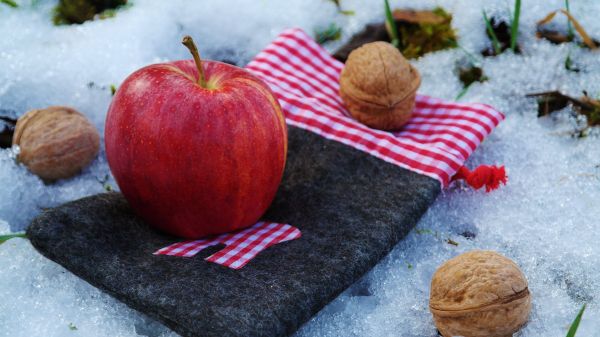 plantar, fruta, maçã, natureza, neve, inverno