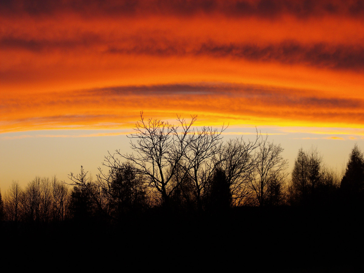 Natur, Horizont, Wolke, Himmel, Sonne, Sonnenaufgang, Sonnenuntergang, Feld, Prärie, Sonnenlicht, Morgen, Dämmerung, Atmosphäre, Dämmerung, Abend, Bäume, West-, Nachglühen, Silhouetts, Abendhimmel, Meteorologisches Phänomen, Atmosphärisches Phänomen, Roter himmel am morgen