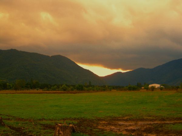 пейзаж, дърво, природа, гора, трева, рок