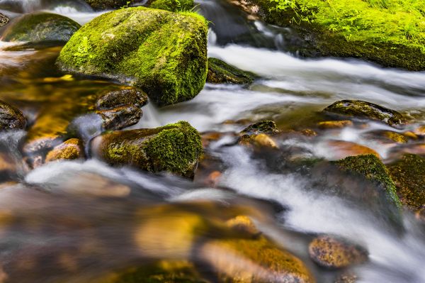 courant, plan d'eau, la nature, Paysage naturel, eau, Cours d'eau