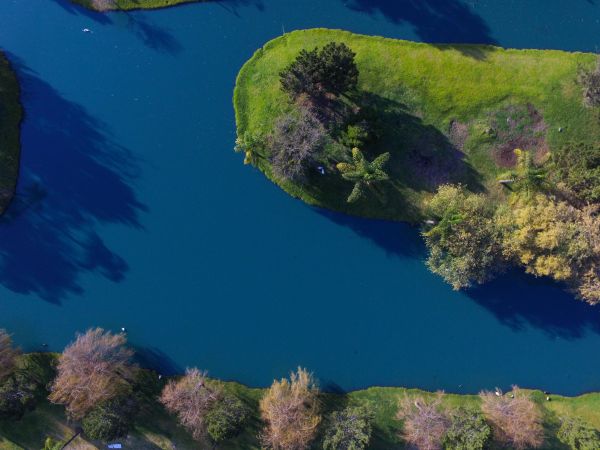 paysage,mer,côte,arbre,colline,Lac