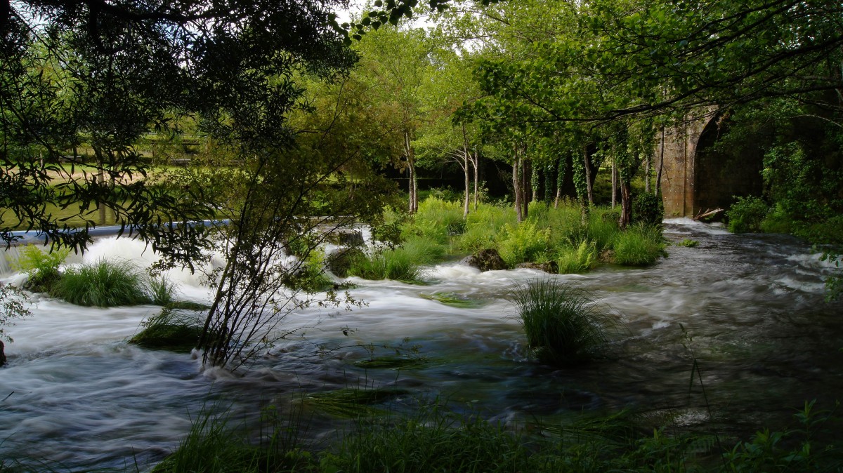 paesaggio, albero, acqua, natura, foresta, torrente, natura selvaggia, fiore, fiume, stagno, ruscello, giungla, rapido, corpo d'acqua, Spagna, vegetazione, foresta pluviale, zone umide, Galizia, Pontevedra, paisajes, bosco, habitat, giochi d'acqua, ecosistema, alveo, espana, ggl1, gaby1, Alama, sonyslta55, espantallos, rioverdugo, ambiente naturale