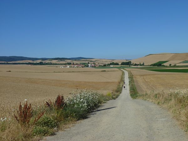 paisaje, arena, horizonte, la carretera, campo, pradera