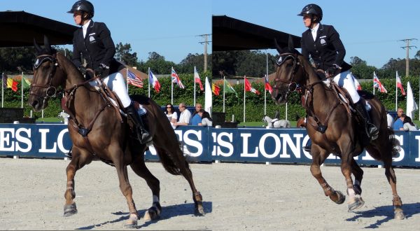 engelsk ridning,equestrianism,distanseritt,hest seletøy,sport,sprangridning