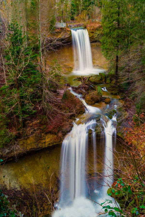 landscape, tree, water, nature, forest, rock