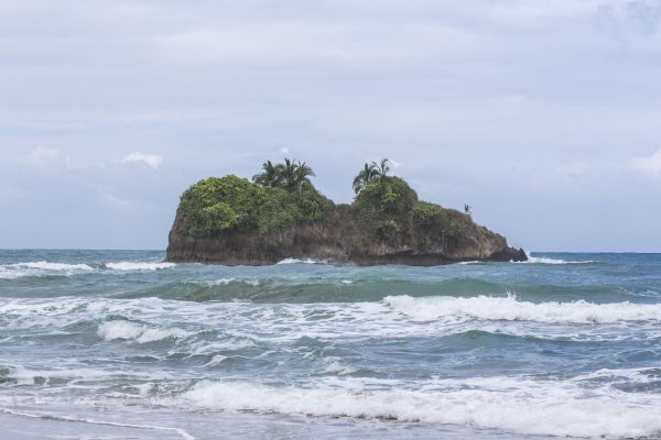 strand, landschap, zee, kust, water, boom