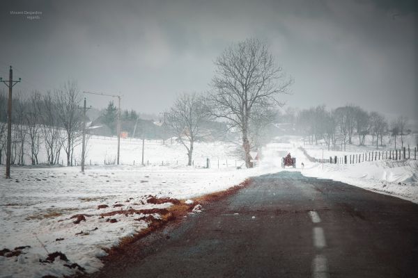 雪,フランス,キヤノン,冬,朝,天気