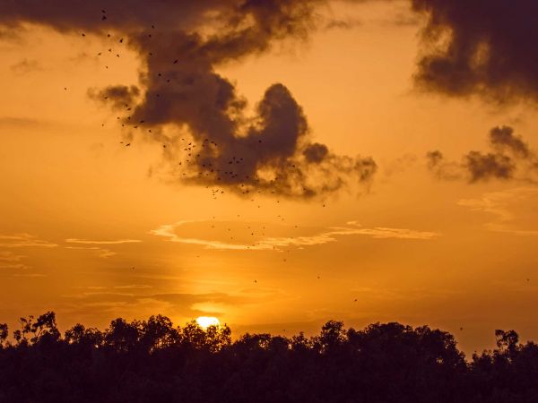 Horizont, Wolke, Himmel, Sonne, Sonnenaufgang, Sonnenuntergang