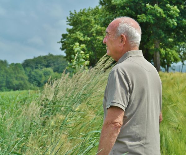 landschap,natuur,gras,kijk maar,man,boom