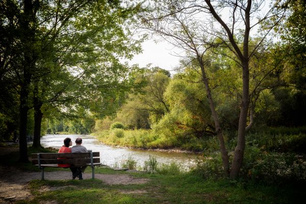 landschap, boom, water, natuur, Bos, wildernis