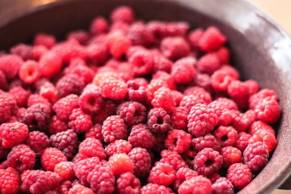 plante,framboise,fruit,baie,aliments,produire