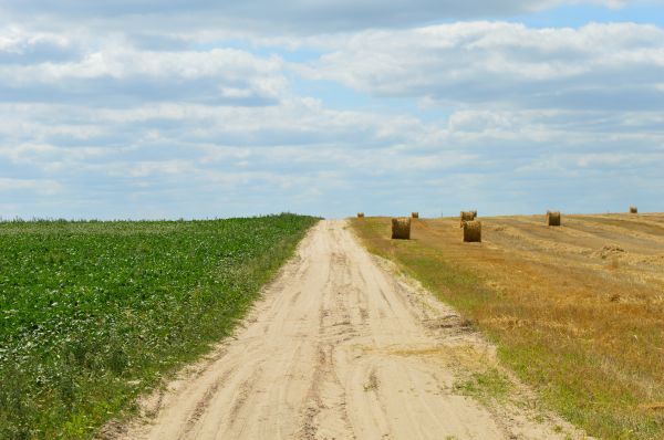 пейзаж,трава,горизонт,небо,Дорога,тюк