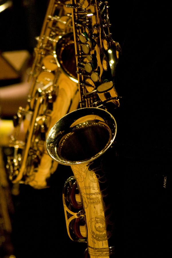 muziek-,gitaar,akoestische gitaar,band,leven,Hoorn