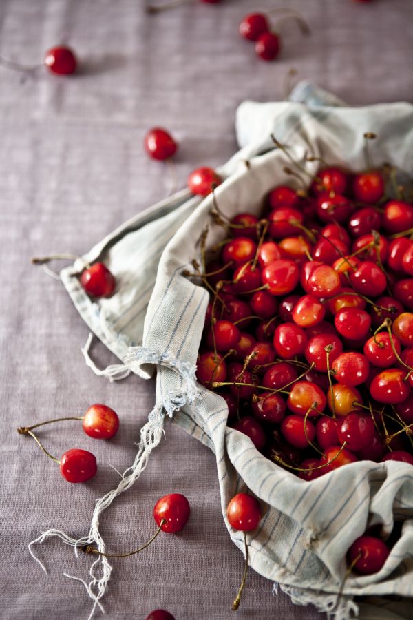 branch,plant,fruit,berry,sweet,bowl