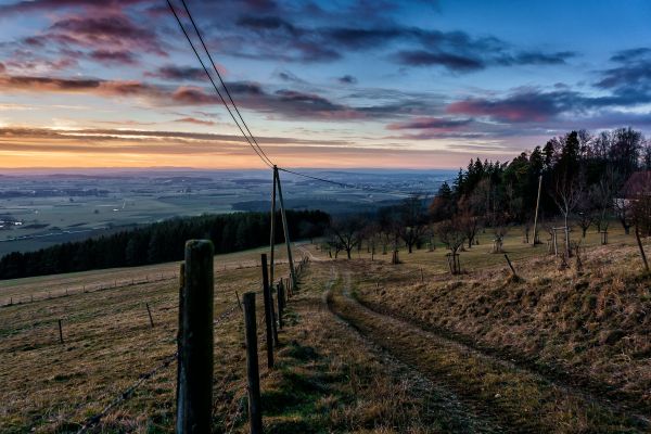 landschap, natuur, horizon, strand, boom, gras