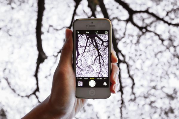 iphone,smartphone,hand,technology,white,photography