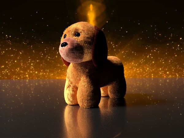 puppy,dog,animal,night,space,brown