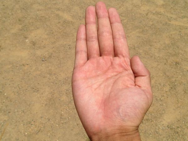 mano,pantalla,hombre,playa,mar,costa