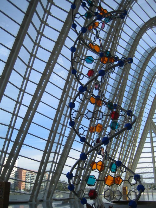 structure,skyscraper,downtown,amusement park,tower,landmark