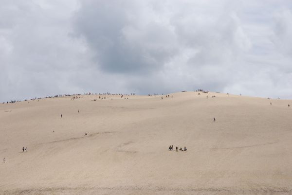 paysage,mer,le sable,dune,France,Matériel