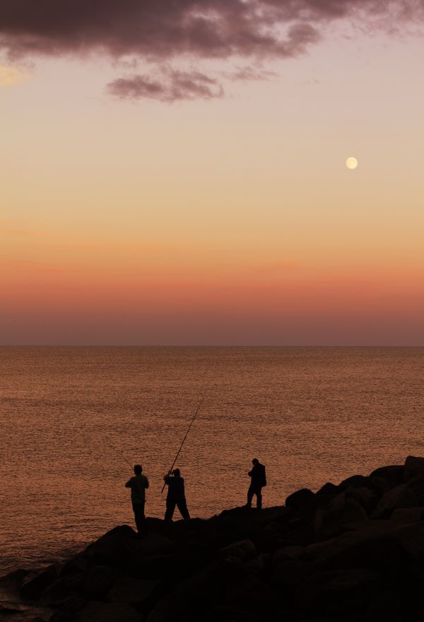 Férfi,strand,tájkép,tenger,tengerpart,víz