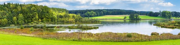 natuur, natuurgebied, reflectie, water, vegetatie, ecosysteem