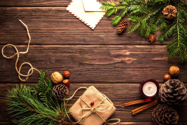 branche,décoration de Noël,bois,le bâton de cannelle,arbre,Photographies