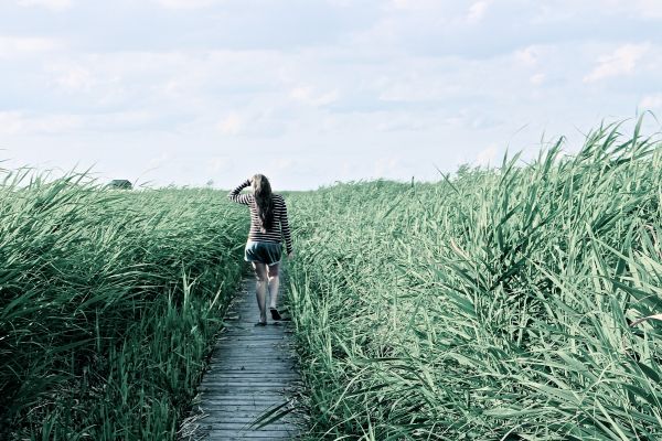 landscape,tree,nature,grass,plant,water